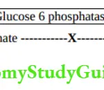 Biochemistry Glucose 6 phosphatase