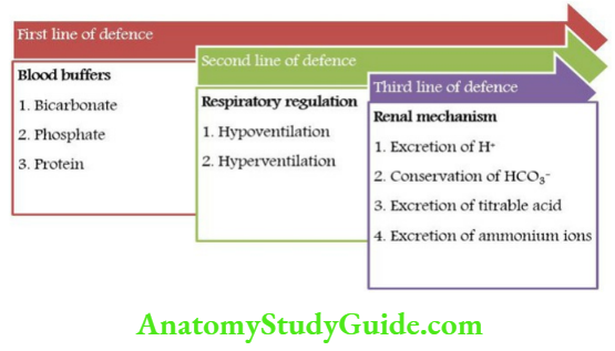 Biochemistry Mechanism of Regulation