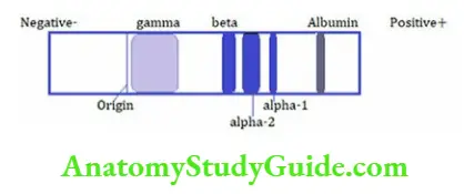 Biochemistry Serum electrophoreis pattern– Nephrotic syndrome