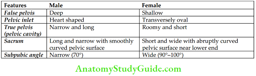 Bony Pelvis Pelvic Muscles And Vessels Difference Between Male And Femal Pelves