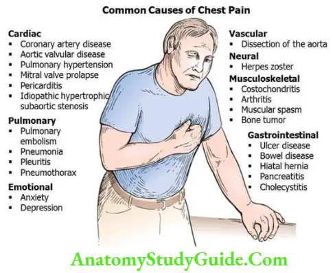 Cardiology Causes of chest pain
