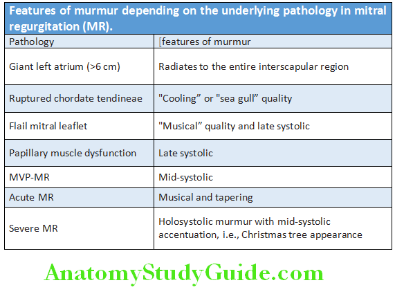 Cardiology Features of murmur depending on the underlying pathology in mitral regurgitation (MR)