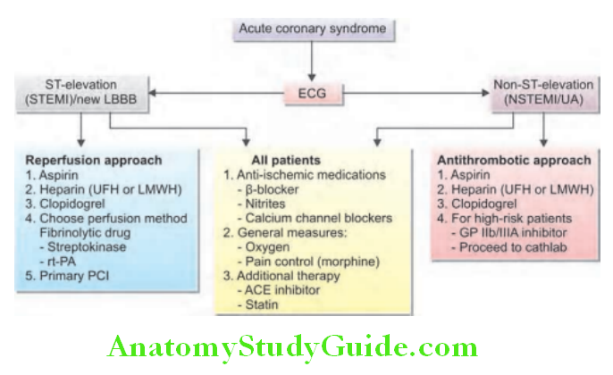 Cardiology Management of acute coronary syndrome