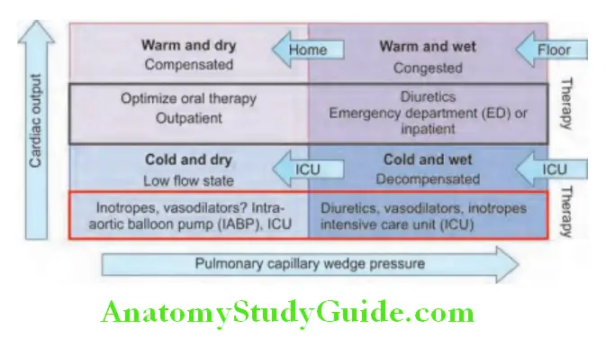 Cardiology Management of heart failure based on symptoms, cardiac output, and pulmonary capillary wedge pressure