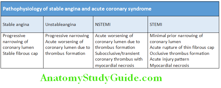 Cardiology Pathophysiology of stable angina and acute coronary syndrome
