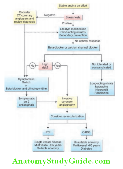 Cardiology Scheme for the investigation and management of stable angina