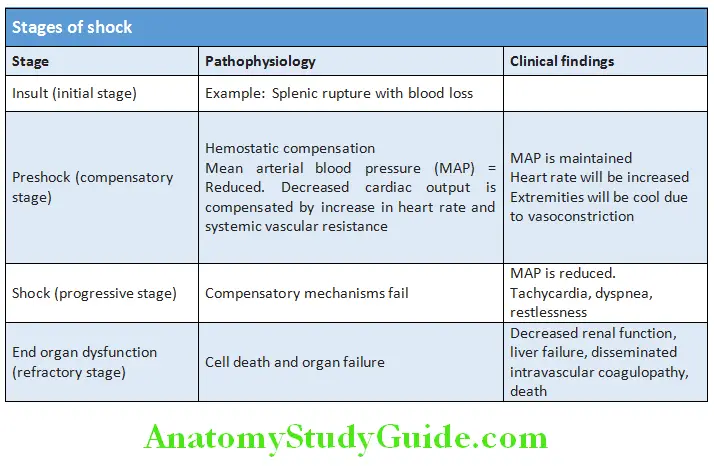Cardiology Stages of shock