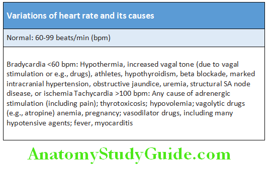 Cardiology Variations of heart rate and its causes