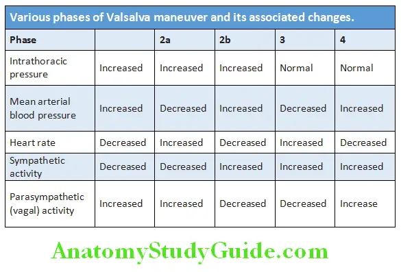 Cardiology Various phases of Valsalva maneuver and its associated changes