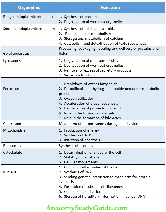 Cell Functions Of Cystoplamic Organelles