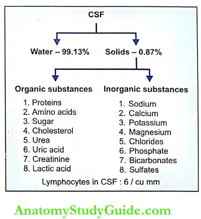 Cerebrospinal Fluid Composition Of crebrospinal fluid