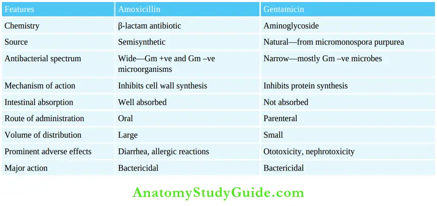 Chemotherapy Amoxicillin And Gentamicin