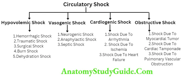 Circulatory Shock And Heart failure Different Types of Circulatory Shock