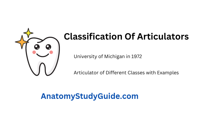 articulators-principles-types-and-uses-anatomy-study-guide