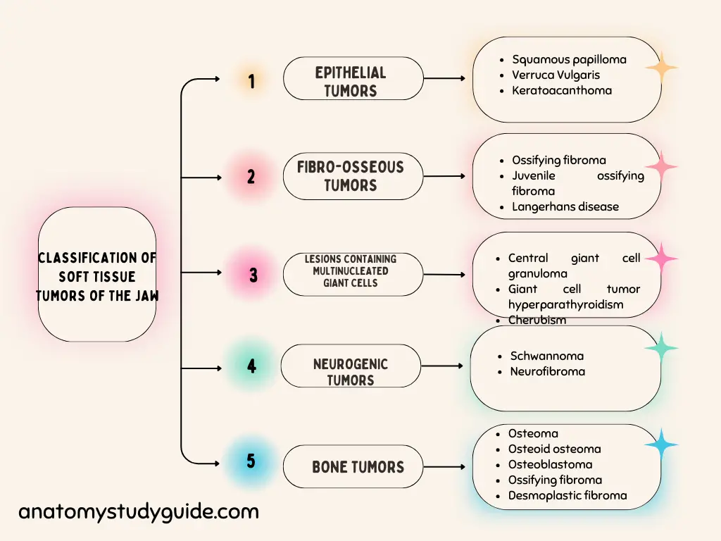 Classification of soft tissue tumors of the jaw