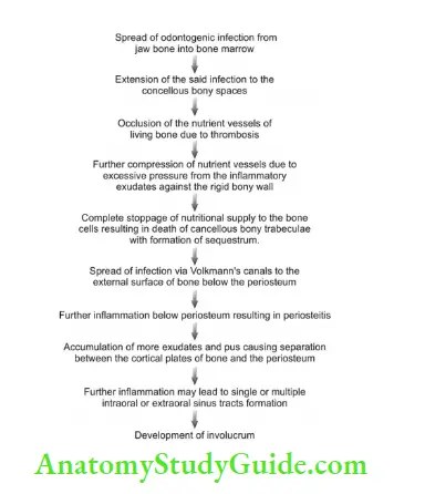 Diseases of Pulp And Periapical Tissues Pathology Question And Answers ...