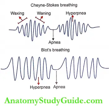 Distubances Of Respiration Periodic Breathing