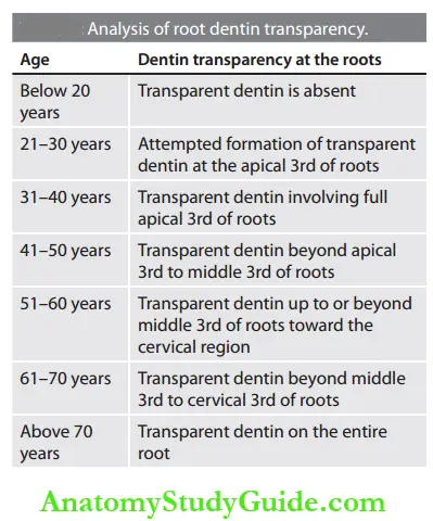 Forensic Dentistry Analysis Of Root Dentin Transparency