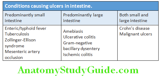 Gastroenterology Conditions causing ulcers in intestine