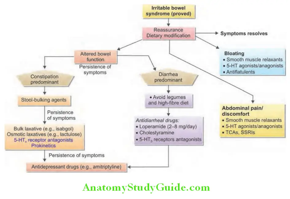 Gastroenterology Management of irritable bowel syndrome