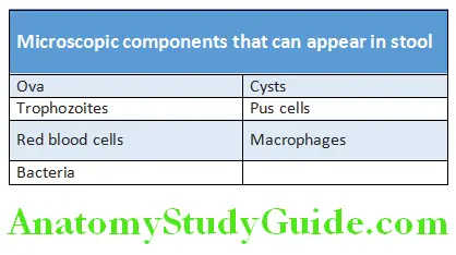 Gastroenterology Microscopic components that can appear in stool