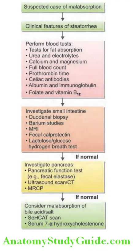 Gastroenterology Step-wise investigation in a suspected case of malabsorption