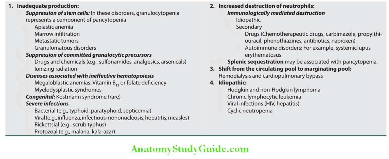 Hematology Causes of neutropenia