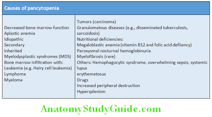 Hematology Causes of pancytopenia
