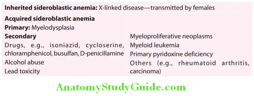 Hematology Classification of sideroblastic anemia