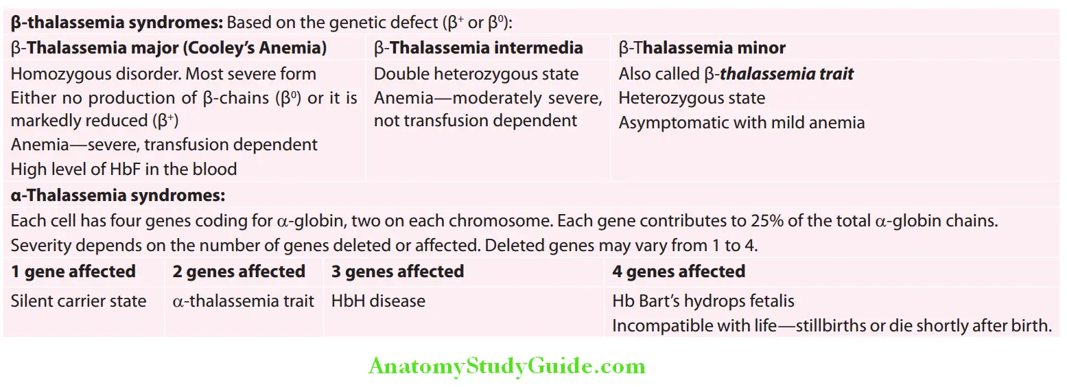 Hematology Classification of thalassemic syndromes