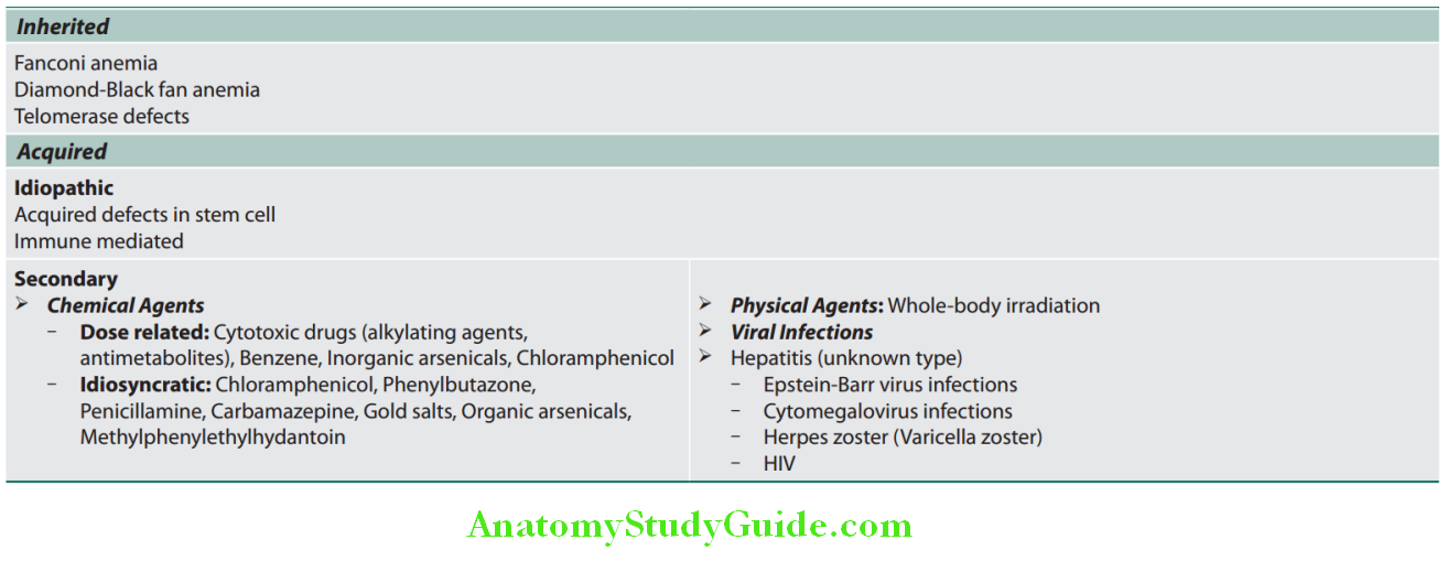 Hematology Common causes of aplastic anemia
