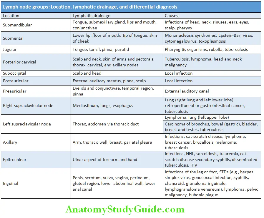 Hematology Lymph node groups Location lymphatic drainage and diffrential diagnosis