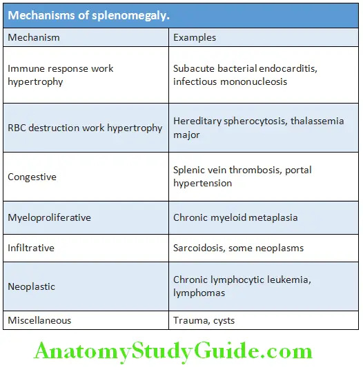 Hematology Mechanisms of splenomegal