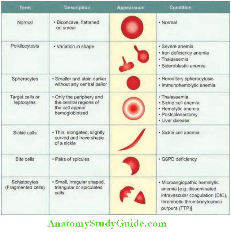 Hematology Variation in shape of red blood cells and associated conditions