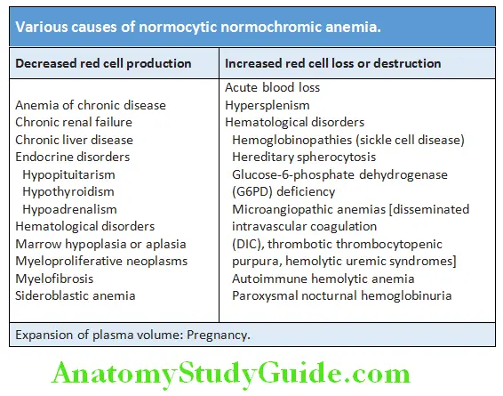 Hematology Various causes of normocytic normochromic anemia