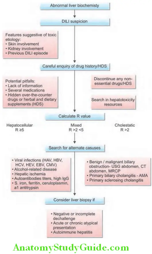 Hepatobiliary System Abnormal liver biochemisty