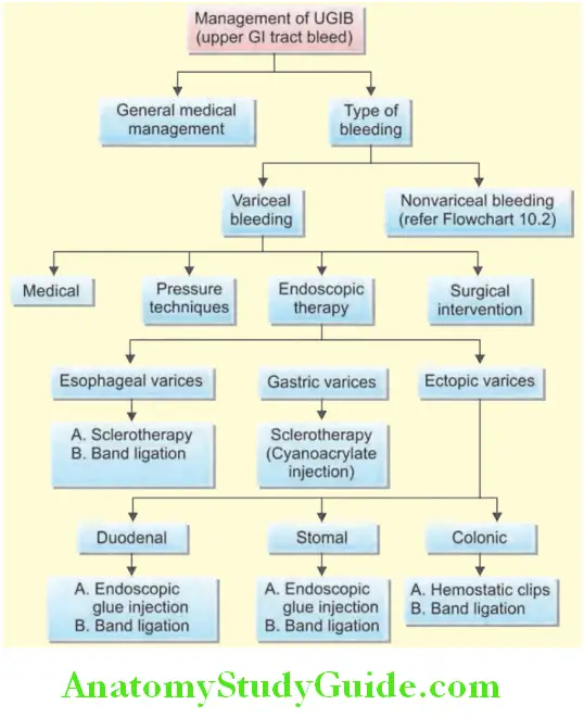 Hepatobiliary System Algorithm for the treatment of bleeding from acute esophageal varices