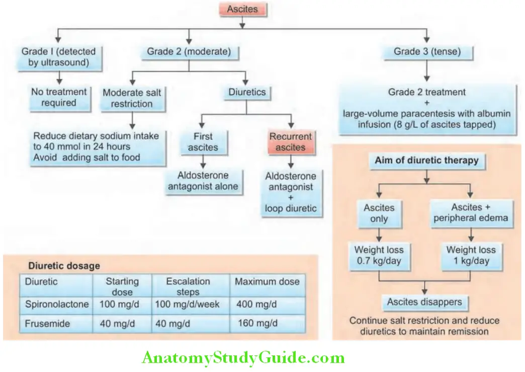 Hepatobiliary System Ascites treatment algorithm