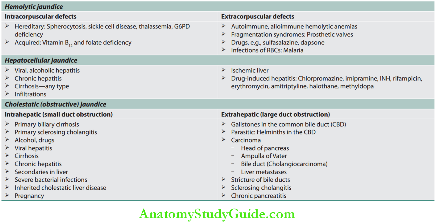 Hepatobiliary System Classifiation of jaundice based on the pathological mechanism