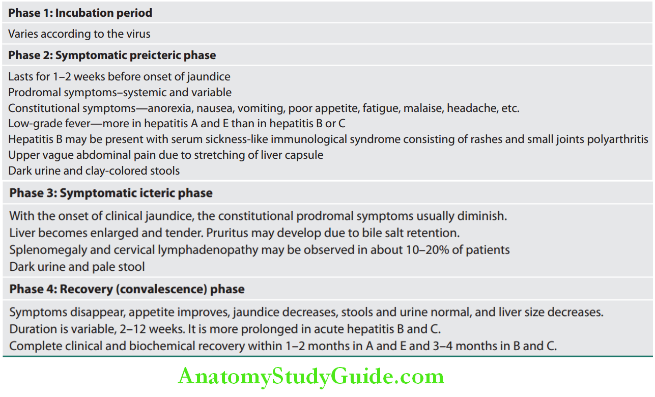 Hepatobiliary System Clinical Features of Viral Hepatitis