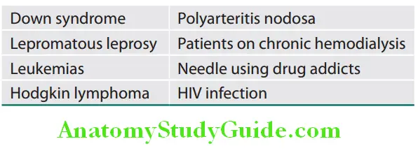 Hepatobiliary System Conditions associated with chronic hepatitis B state