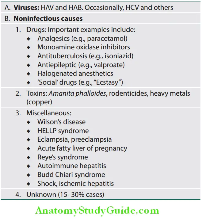 Hepatobiliary System Important causes of fulminant hepatic failure