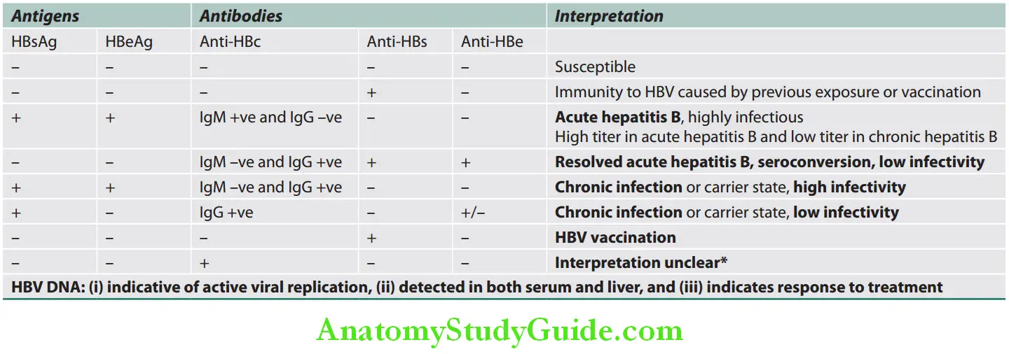 Hepatobiliary System Interpretation of serological fidings and its signifiance in HBV