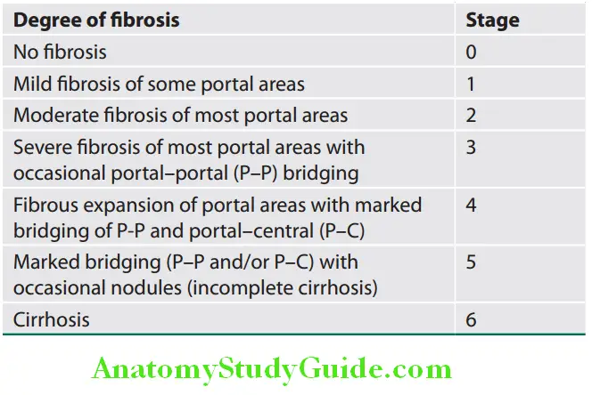 Hepatobiliary System Modifid histological activity index—Staging