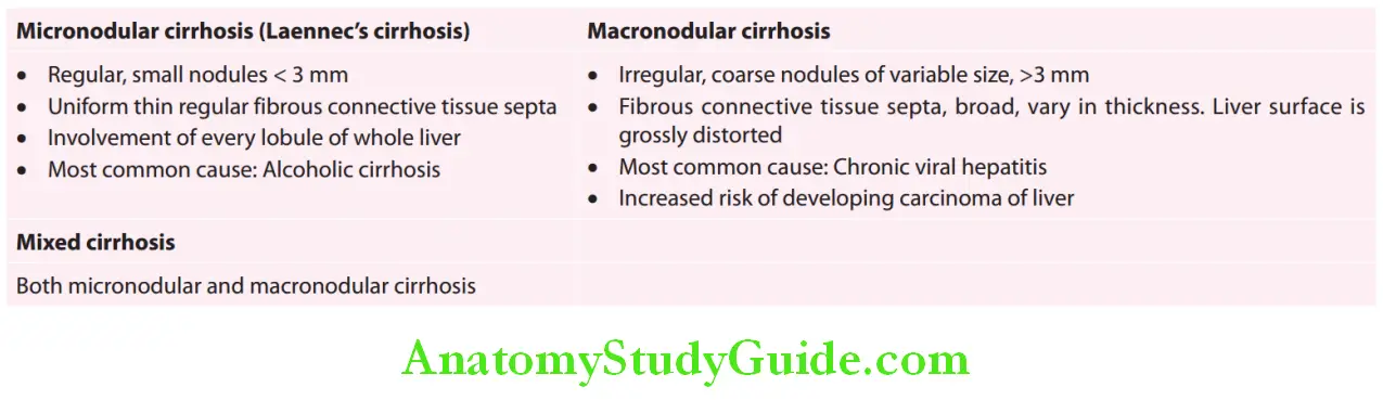 Hepatobiliary System Morphological classification of cirrhosis