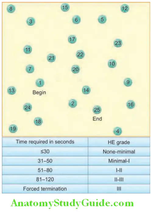 Hepatobiliary System Number connection test