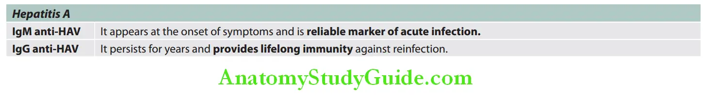 Hepatobiliary System Serological Markers for Viral Hepatitis