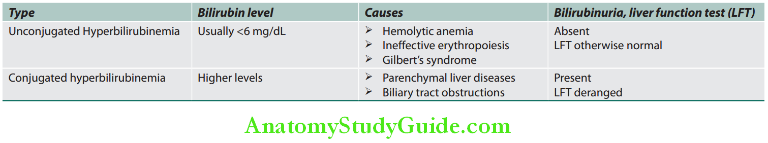 Hepatobiliary System Serum Bilirubin