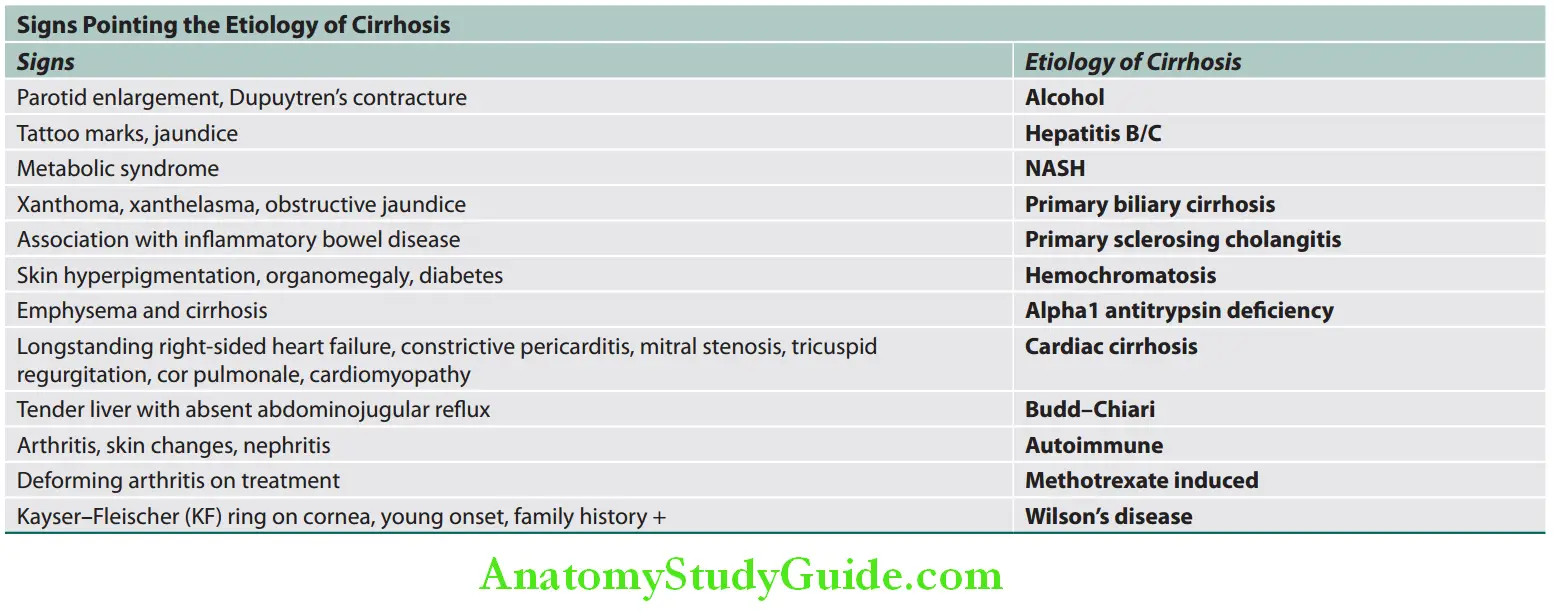 Hepatobiliary System Signs Pointing the Etiology of Cirrhosis