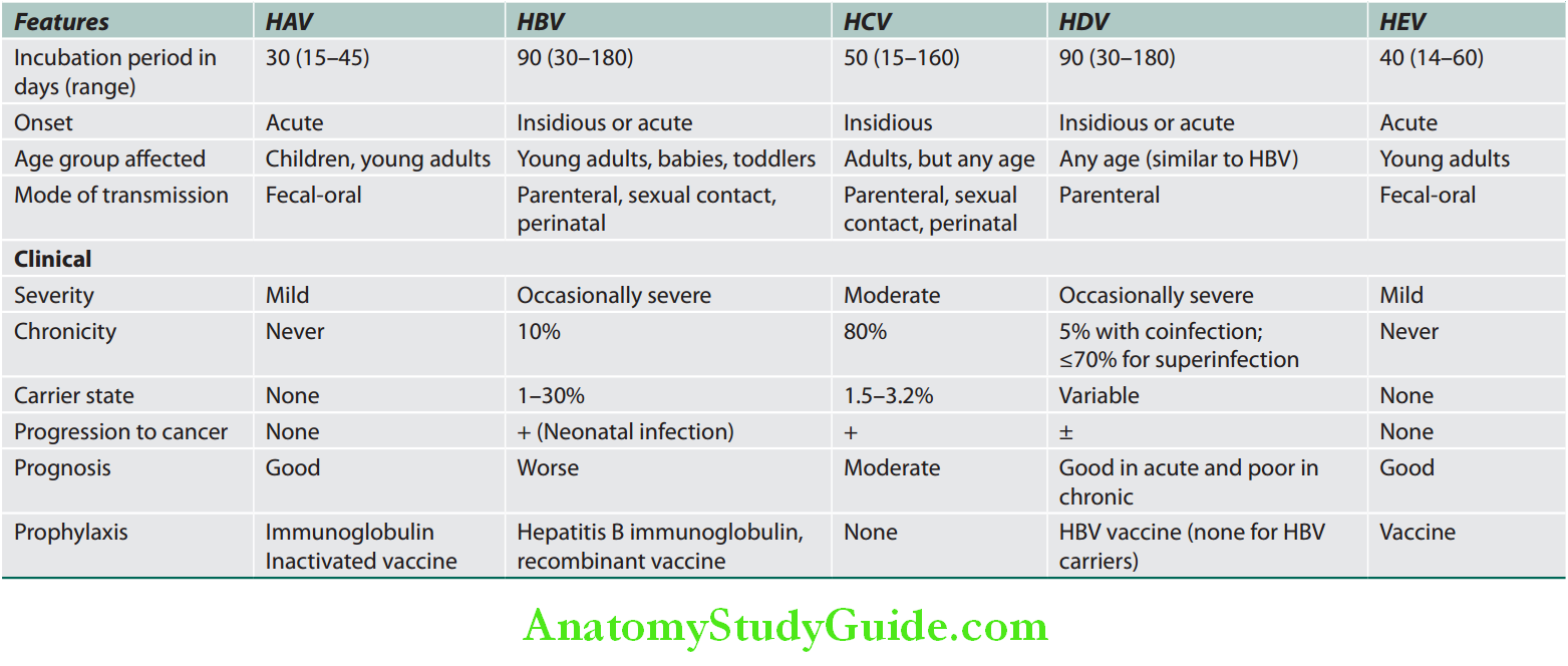 Hepatobiliary System Summary of various hepatotropic viruses